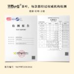 Henectus tincidunt - Image 4